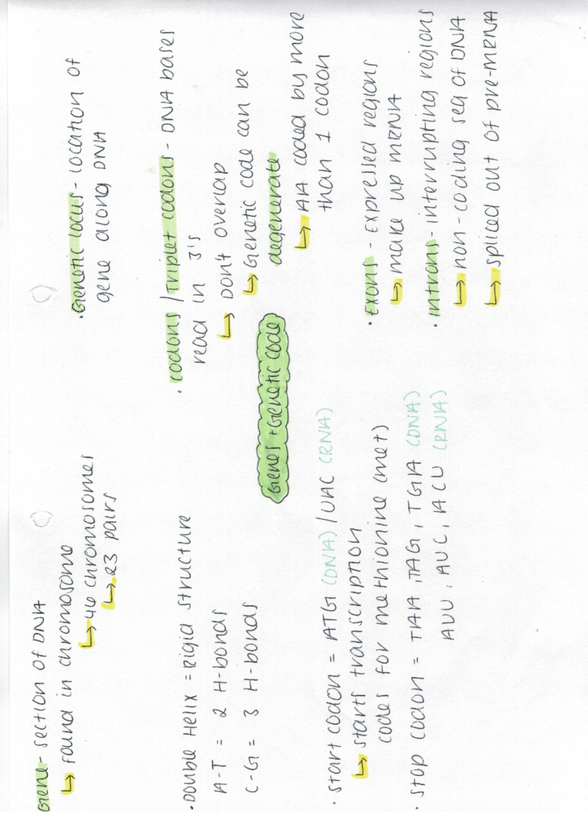 Preview image for AQA A-Level Biology Module 4- genes and genetic code